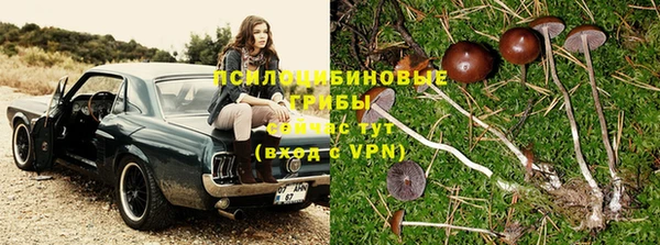 прущая мука Армянск